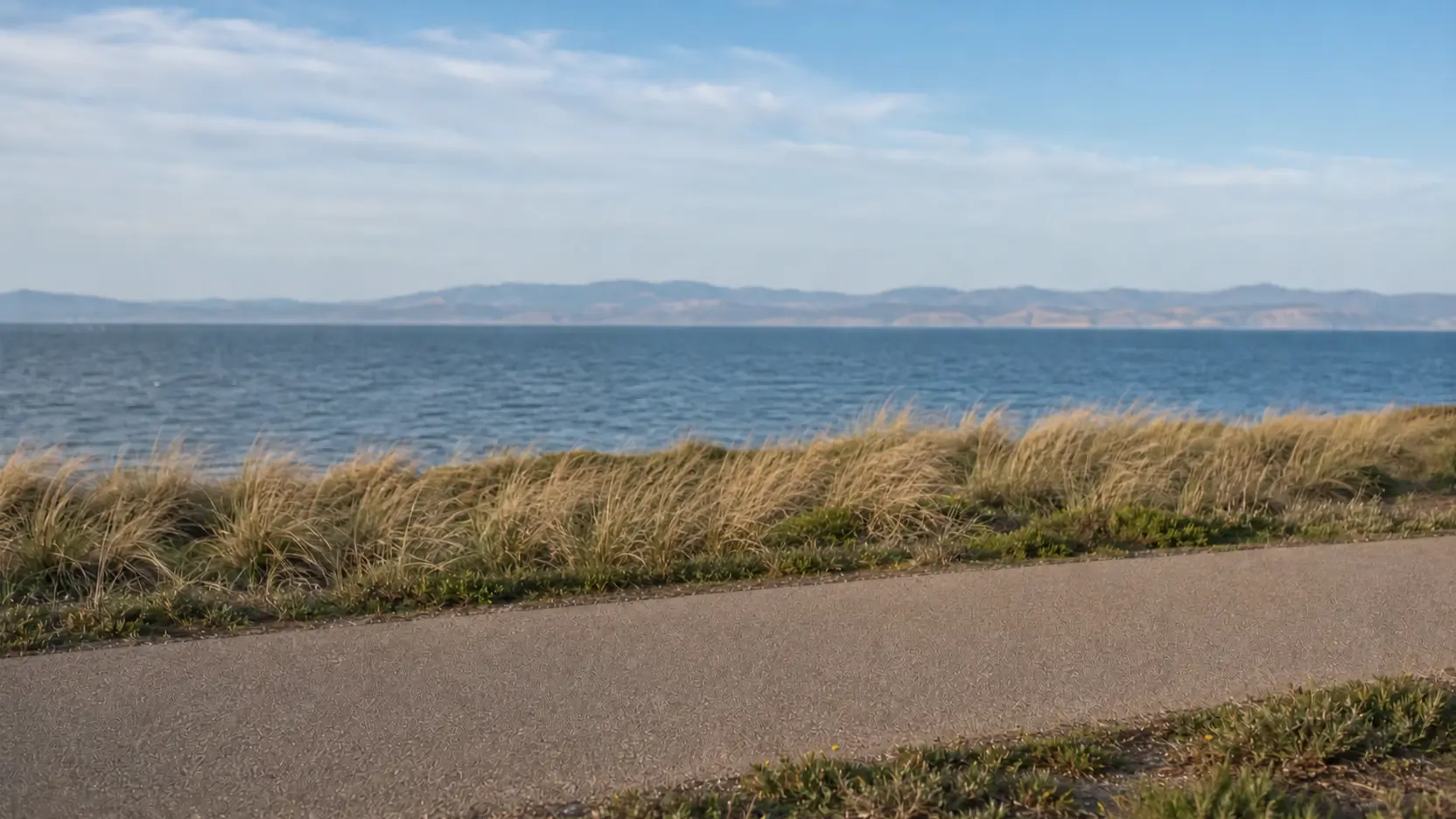 Remove a moving object from video with motion tracking